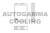 AUTOGAMMA 103510 Heat Exchanger, interior heating